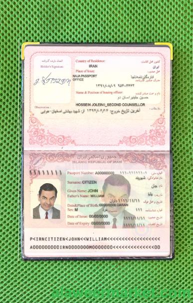 Iran passport (2007-2014) photo look